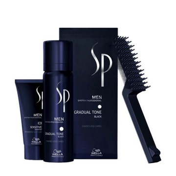 Odsiwiacz dla mężczyzn Wella SP Men Black Czarny