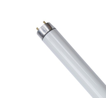 Świetlówka liniowa T8 36W G13 barwa 6500k 120 cm