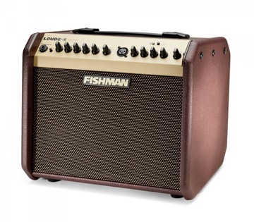 Акустический комбо Fishman Loudbox Mini Bluetooth