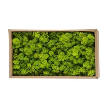 500G MECH CHROBOTEK JASNY ZIELONY OCZYSZCZONY