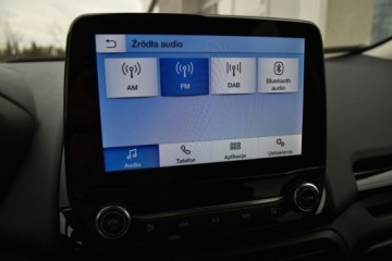 Ford Ecosport II SUV Facelifting 1.0 EcoBoost 125KM 2022 Ford EcoSport SalonPL 125KM ACTIVE Skora Podgrzew.Fotelekierownica Alu17 V, zdjęcie 16