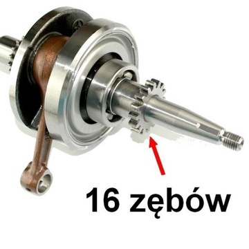 САЛЬНИКИ КОЛЕНВАЛА ZIPP ASTEC 50 4T