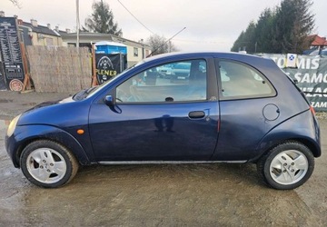 Ford Ka II Hatchback 3d 1.3 i 70KM 2002 Ford KA Ford KA 1.3 1.3 Benzyna 70KM, zdjęcie 11