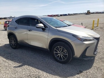 Lexus NX II 2023 Lexus NX Lexus NX 350, od ubezpieczalni 2.4 Benzyna 275KM, zdjęcie 2