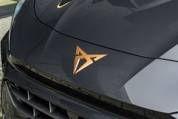 Cupra Terramar 2025 Cupra Terramar Advantage Edition 2.0 TSI 204 KM, zdjęcie 5