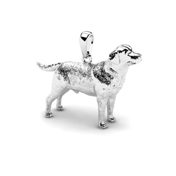 WISIOREK SREBRNY PIES LABRADOR GRAWER