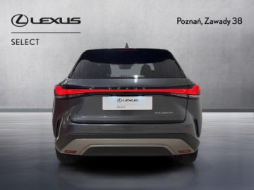 Lexus RX V 2025 Lexus RX 350h Prestige V (2022-) Lexus RX 350h Pre, zdjęcie 6