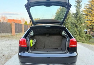 Audi A3 8P Hatchback 3d 1.6 TDI 105KM 2010 Audi A3 3-drzwiowe Audi A3 3-drzwiowe 1.6 TDI DPF Ambition 1.6 Diesel 105KM, zdjęcie 27