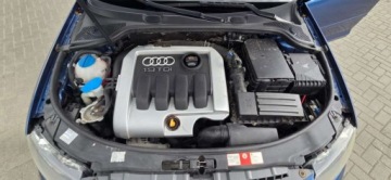 Audi A3 8P Hatchback 3d 1.9 TDI 105KM 2004 Audi A3 Sportback 1,9TDI 105 KM Alu Klima Import Raty Oplaty ASO 1.9, zdjęcie 33