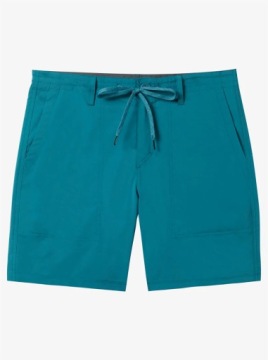 Quiksilver Shorts Lamps для мужчин