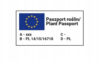 Подвой яблони М26 полукарлик 10 шт.