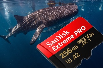 Карта памяти SanDisk Extreme PRO microSDXC 256 ГБ 256 ГБ 200 МБ/с