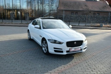Jaguar XE Sedan 2.0 i4 250KM 2018 Jaguar XE 25T 2.0T 250KM 2018r. Skóra Panorama, zdjęcie 14