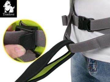 Бегущий пояс с собакой собаки