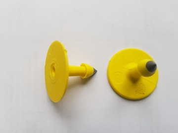 Allflex мужская серьга