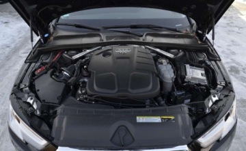 Audi A4 B9 2019 Audi A4 Avant 8W 2.0 TDI S-Tronic Kamera ACC Navi Radar Presense El.Klapa, zdjęcie 24