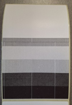 Оригинальная головка Citizen CL-S700 203dpi JN09802