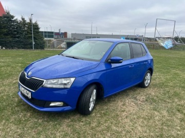 Skoda Fabia III 2020 Salon Serwis Skoda Fabia 1.0 Ambition Benzyna LPG klima, zdjęcie 33