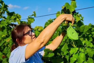 СТЕПЛЕР САДОВЫЙ ДЛЯ РАСТЕНИЙ, КУСТАРОВ, TAPENER TAPENER TAPENER