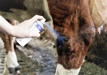 Синий спрей, 200 мл, производитель Agro Chemica