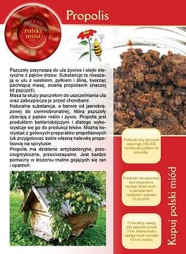 Broszurka informacyjna ulotka - propolis (20szt) - U10
