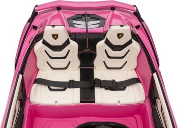 LAMBORGHINI SIAN АККУМУЛЯТОР ДЛЯ АВТОМОБИЛЯ 24V POWER 4x100W РОЗОВЫЙ