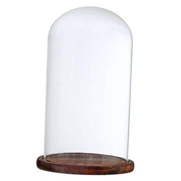 Flower Cake LED Light Dome Cloche Jar Display