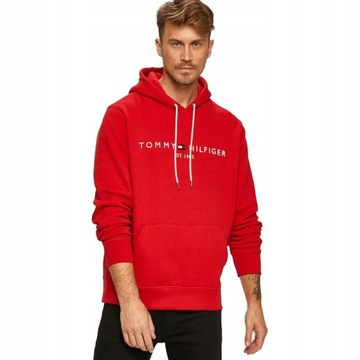 Męska bluza z kapturem Tommy Hilfiger Tommy Logo Hoody