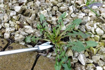 2x СКРЕБКА ДЛЯ ШОВОВ — Нож для ЧИСТКИ БРОШЮТНОЙ ПАВЕЛИКИ — МОХ СОРНЯКИ