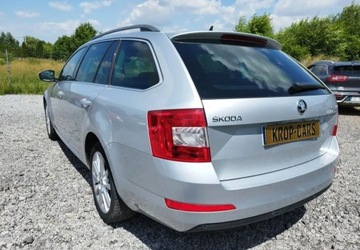 Skoda Octavia III 2017 Skoda Octavia Skoda Octavia 1.6 TDI Edition 1.6 Diesel 110KM, zdjęcie 4