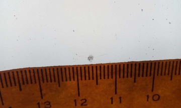 SKLO (OKNO) ČELNÍ MERCEDES E-CLASS W213 2016- ORIG.