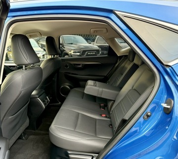 Lexus NX I 2020 Lexus NX 300h,Hybryda,4x4,Europa, zdjęcie 9