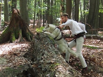 Ремень HIFICA CROSS RACE PP SM RHI/сани ремня безопасности + защита с подкладкой на заказ