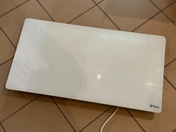 Grzejnik Blyss NE20FB 2000 W (1261/2024)