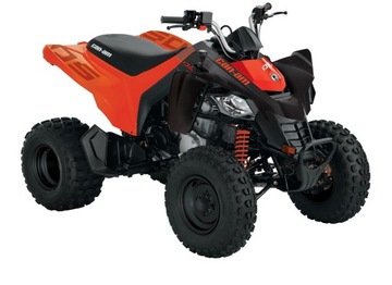 Can Am DS STD 250 VAT 23% Model 2022 OD RĘKI