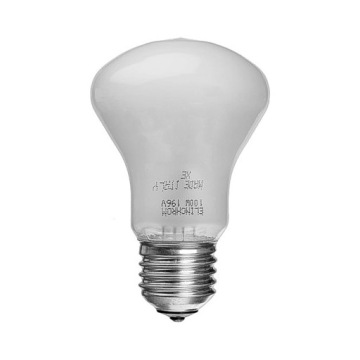 Elinchrom Halogen Lamp 100 W/196V E27