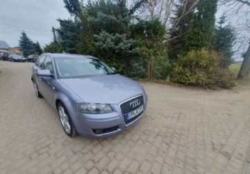 Audi A3 8P Hatchback 3d 2.0 TDI PD 140KM 2004 Audi A3 Sportback Audi A3 Sportback 2.0 TDI Ambition 2.0 Diesel 140KM, zdjęcie 1