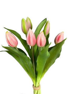 BUKIET TULIPANÓW 7szt TULIPANY RÓŻOWY J SILIKONOWY