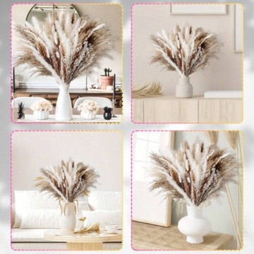 Suszona trawa pampasowa trzcina zestaw 67szt gałązki dekoracyjna biel brąz