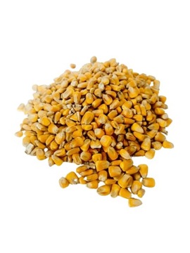 Корм кукурузный зерновой для птицы, прикормка для рыбы 20 кг.