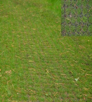 ГЕОКРАТА Газонная решетка Дорога Парковка x 10