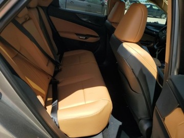 Lexus NX II 2024 Lexus NX 250 Premium 2024 2.5l 2.5 Benzyna 203KM, zdjęcie 10