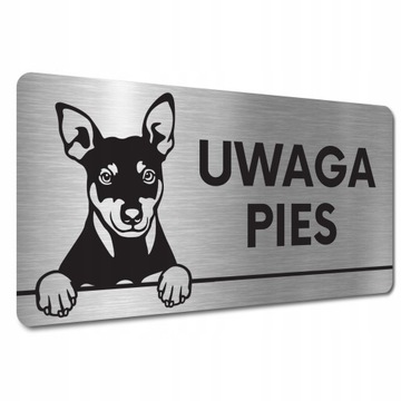 TABLICZKA UWAGA GROŹNY ZŁY PIES Manchester terrier TABLICZKA UWAGA ZŁY PIES