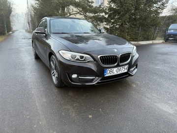 BMW Seria 2 F22-F23-F45-F46 Coupe 220i (Euro 6) 184KM 2016 BMW 220 2.0i 184KM 68tys.km. Navi Bezwypadkowy, zdjęcie 32