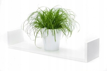 ПОДВЕСНАЯ ПОЛКА для специй, белая перекладина, боковые стороны, кухня, 50х15, дуб сонома