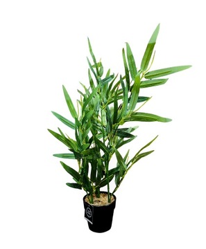Sztuczny bambus z doniczką, 50 cm, zielony HOME