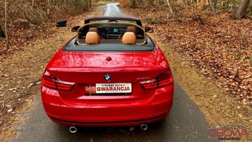 BMW Seria 4 F32-33-36 Cabrio 440i 326KM 2017 BMW Seria 4 440i Kabriolet head up 40 tys km jedyna w takim kolorze zamia, zdjęcie 24