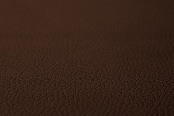 Чехлы SCANIA NEXTGEN R S G P L 17 - фото складного ремня