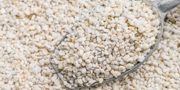 САДОВОДЧЕСКИЙ СУБСТРАТ ПЕРЛИТ 125Л ФИДЕР ДЛЯ ПОСЕВА РАСТЕНИЙ УКОРЕНЕВАНИЕ