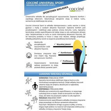 КРОССОВКИ УНИВЕРСАЛЬНЫЕ СПОРТИВНЫЕ СТЕЛЬКИ 44-47